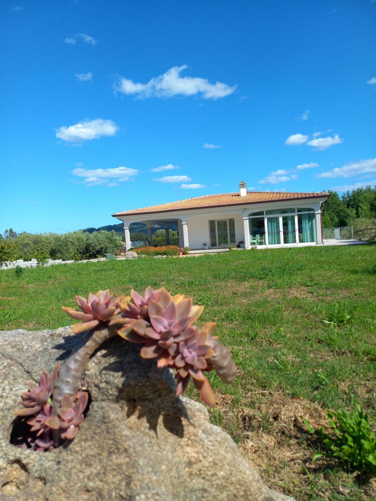 Agriturismo B&B Mares E Montes De Marrante Siniscola Dış mekan fotoğraf
