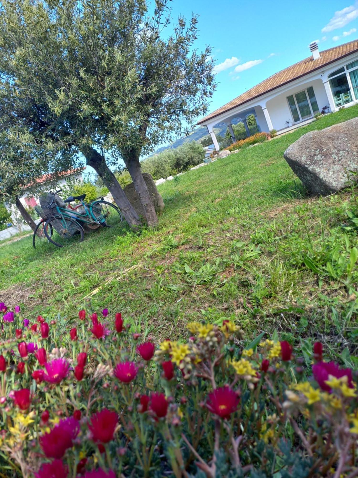 Agriturismo B&B Mares E Montes De Marrante Siniscola Dış mekan fotoğraf